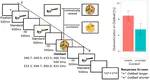 Associated information increases subjective perception of duration