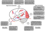 Coupling perception to action through incidental sensory consequences of motor behaviour