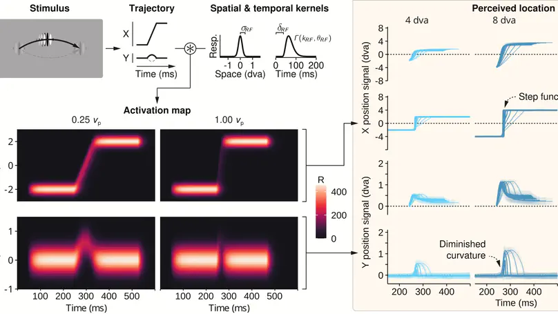 Lawful kinematics link eye movements to the limits of high-speed perception