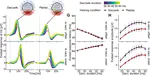 Visual consequences of saccades explain early cortical response dynamics during natural vision