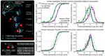High-fidelity but hypometric spatial localization of afterimages across saccades