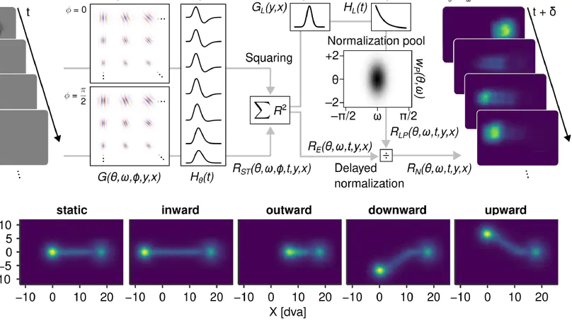 Early visual signatures and benefits of intra-saccadic motion streaks