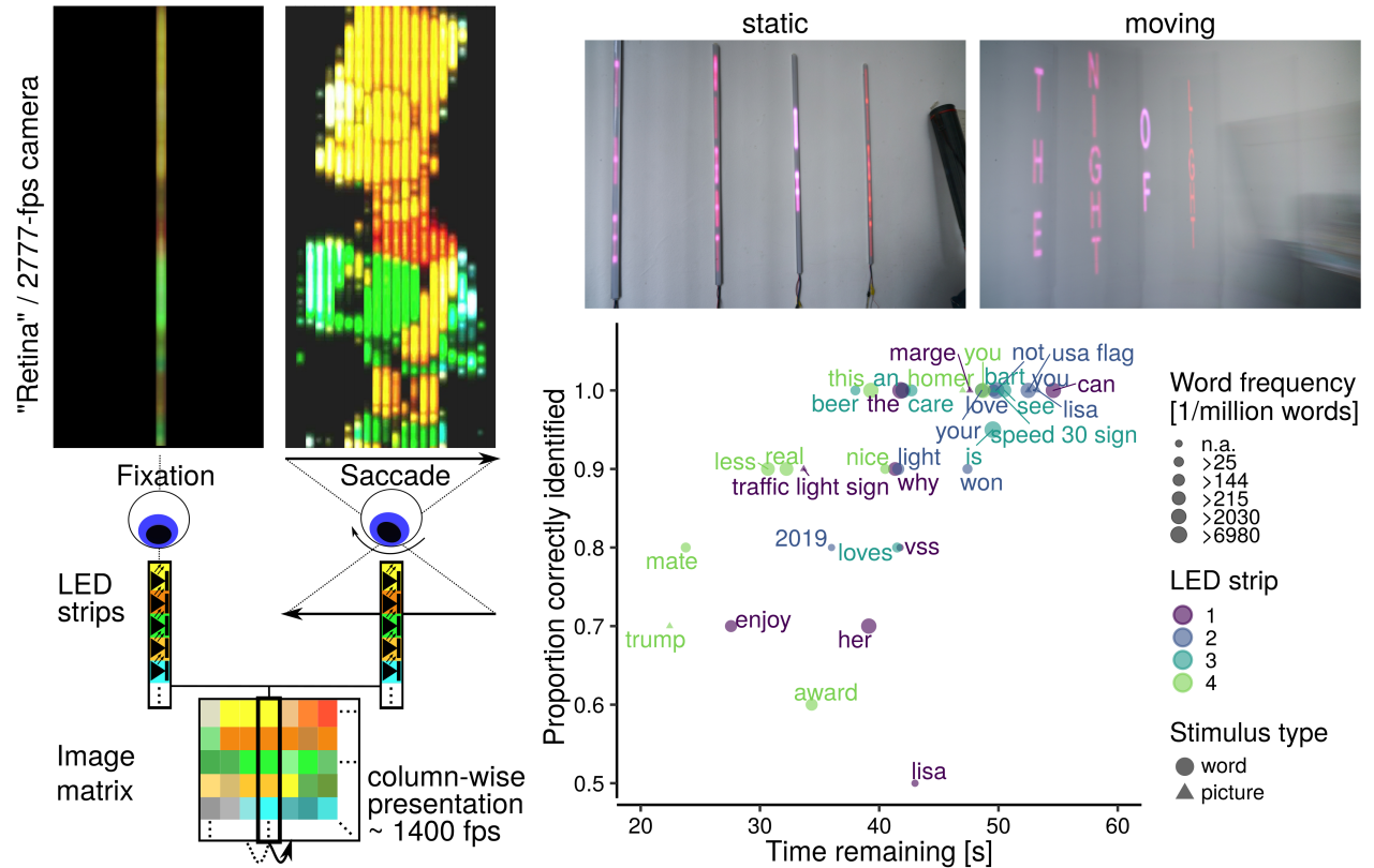 The Joy of Retinal Painting A BuildItYourself Device for